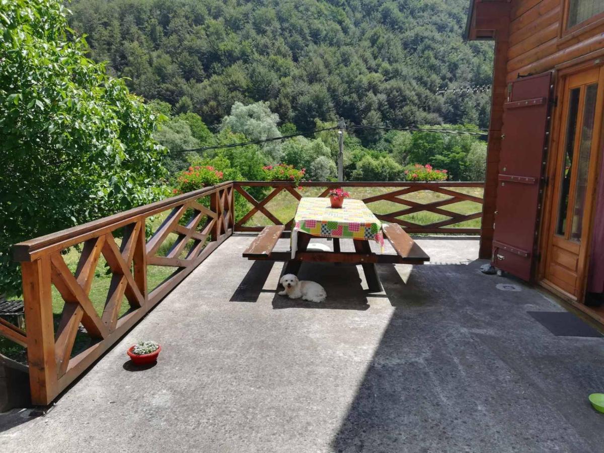 Vila Jelena Crni Vrh Exterior foto
